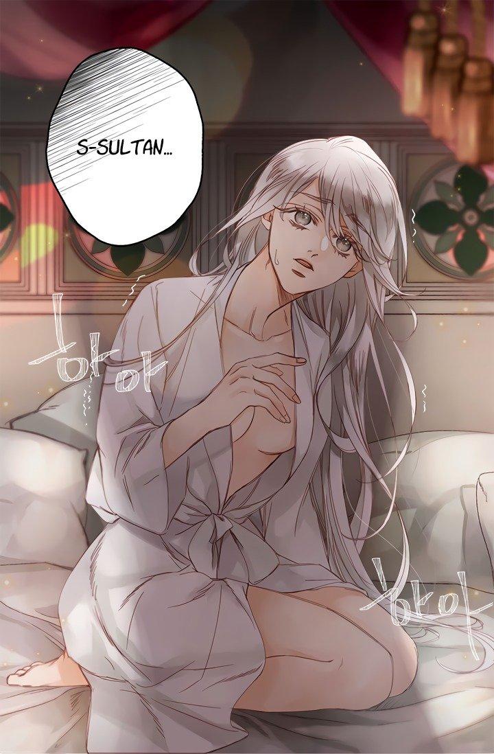 Sultan’s Love chapter 1 page 3