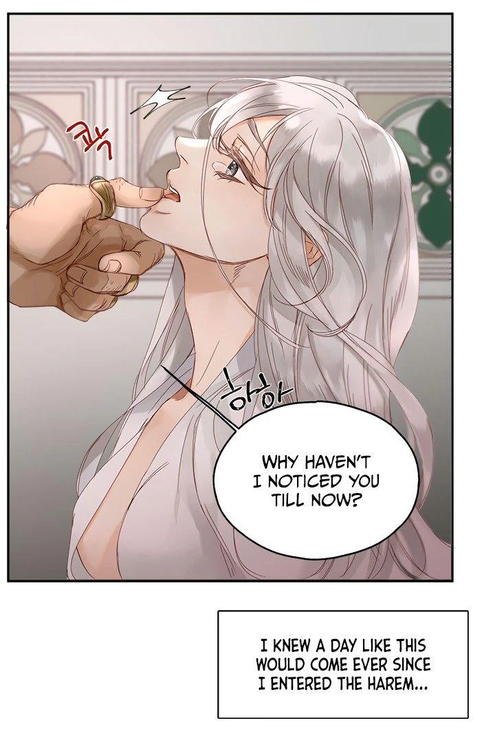 Sultan’s Love chapter 1 page 5