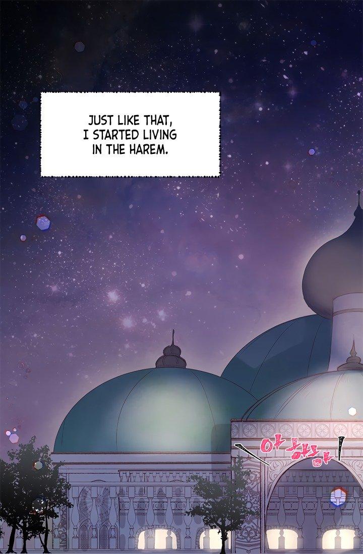 Sultan’s Love chapter 1 page 16