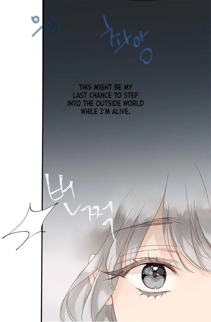 Sultan’s Love chapter 1 page 51