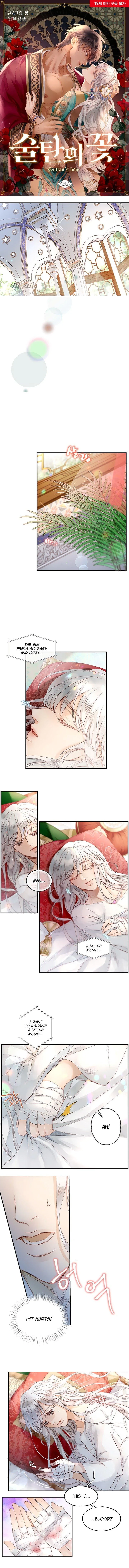 Sultan’s Love chapter 2 page 2