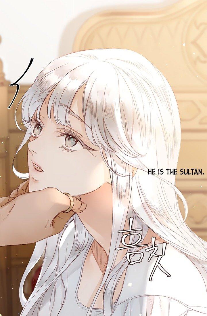 Sultan’s Love chapter 3 page 30