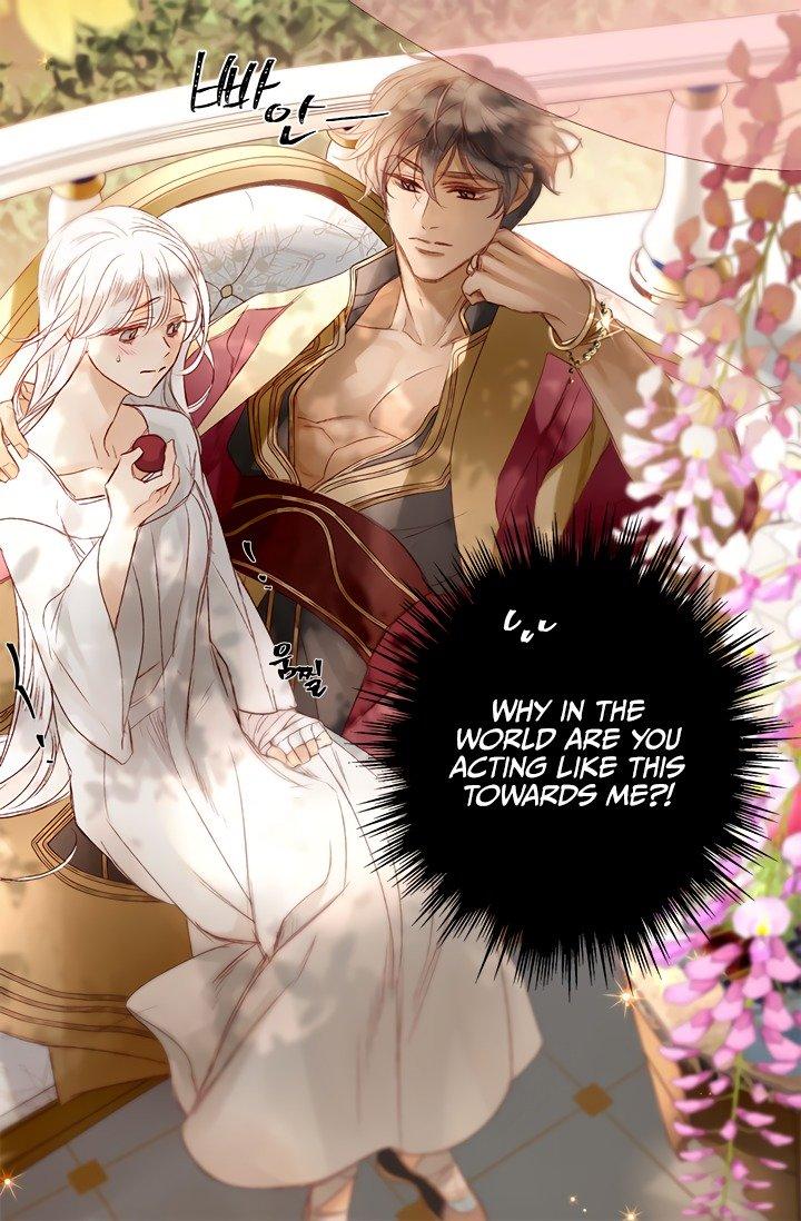 Sultan’s Love chapter 3 page 46