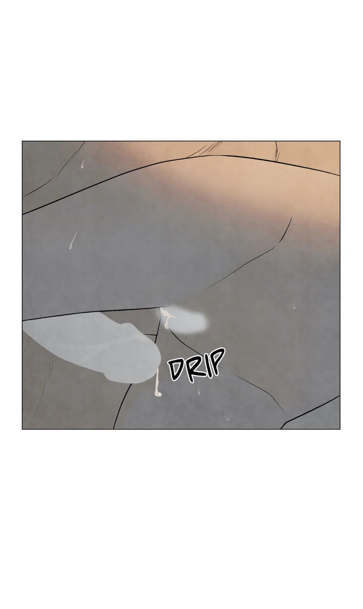 Summer Solstice Point chapter 53 page 47