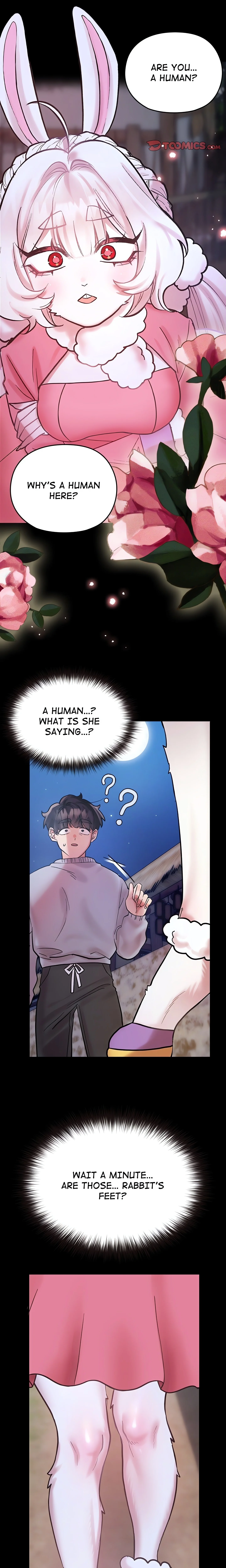 Tales of the Feral Maidens chapter 1 page 1
