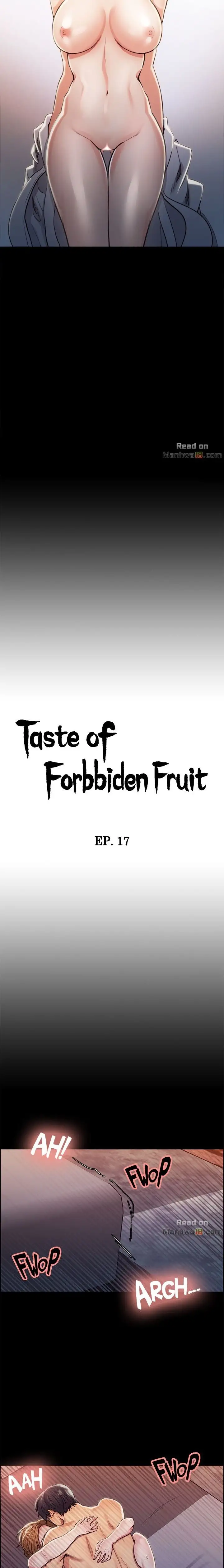 Taste of Forbbiden Fruit chapter 17 page 2