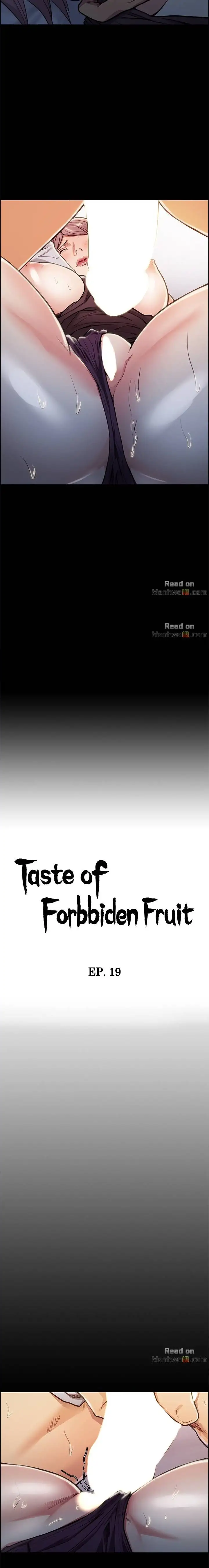 Taste of Forbbiden Fruit chapter 19 page 2