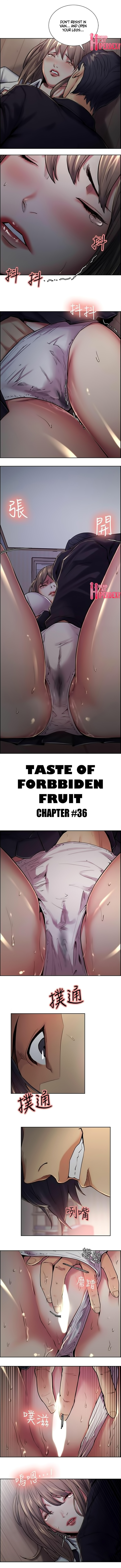 Taste of Forbbiden Fruit chapter 36 page 1