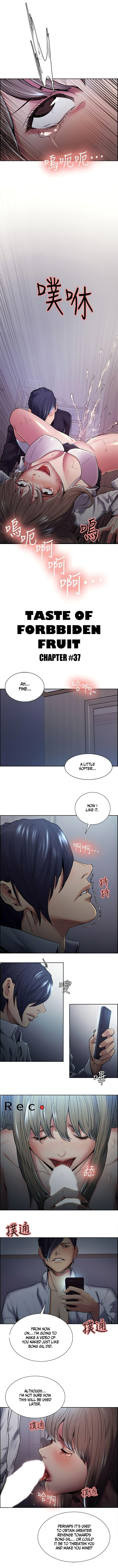 Taste of Forbbiden Fruit chapter 37 page 1