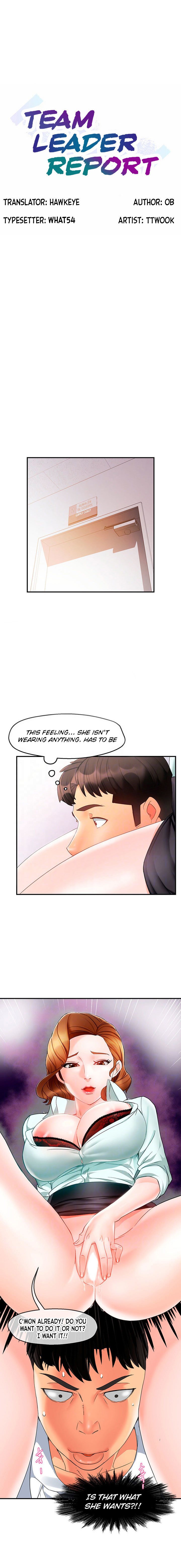 Team Leader Report chapter 11 page 1