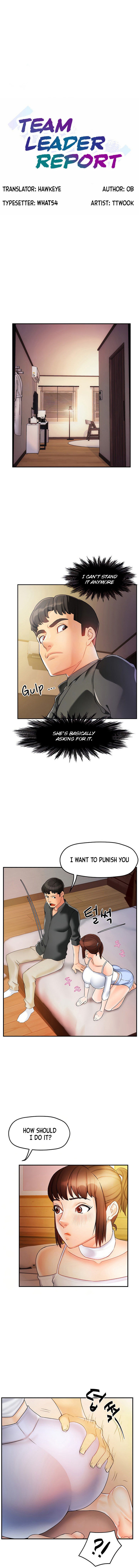 Team Leader Report chapter 13 page 1