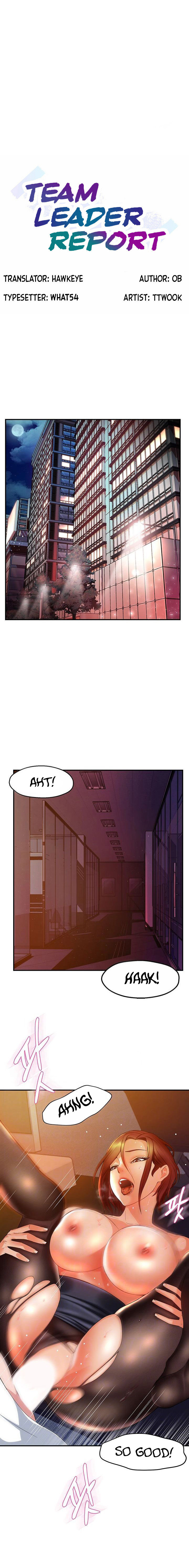 Team Leader Report chapter 15 page 1