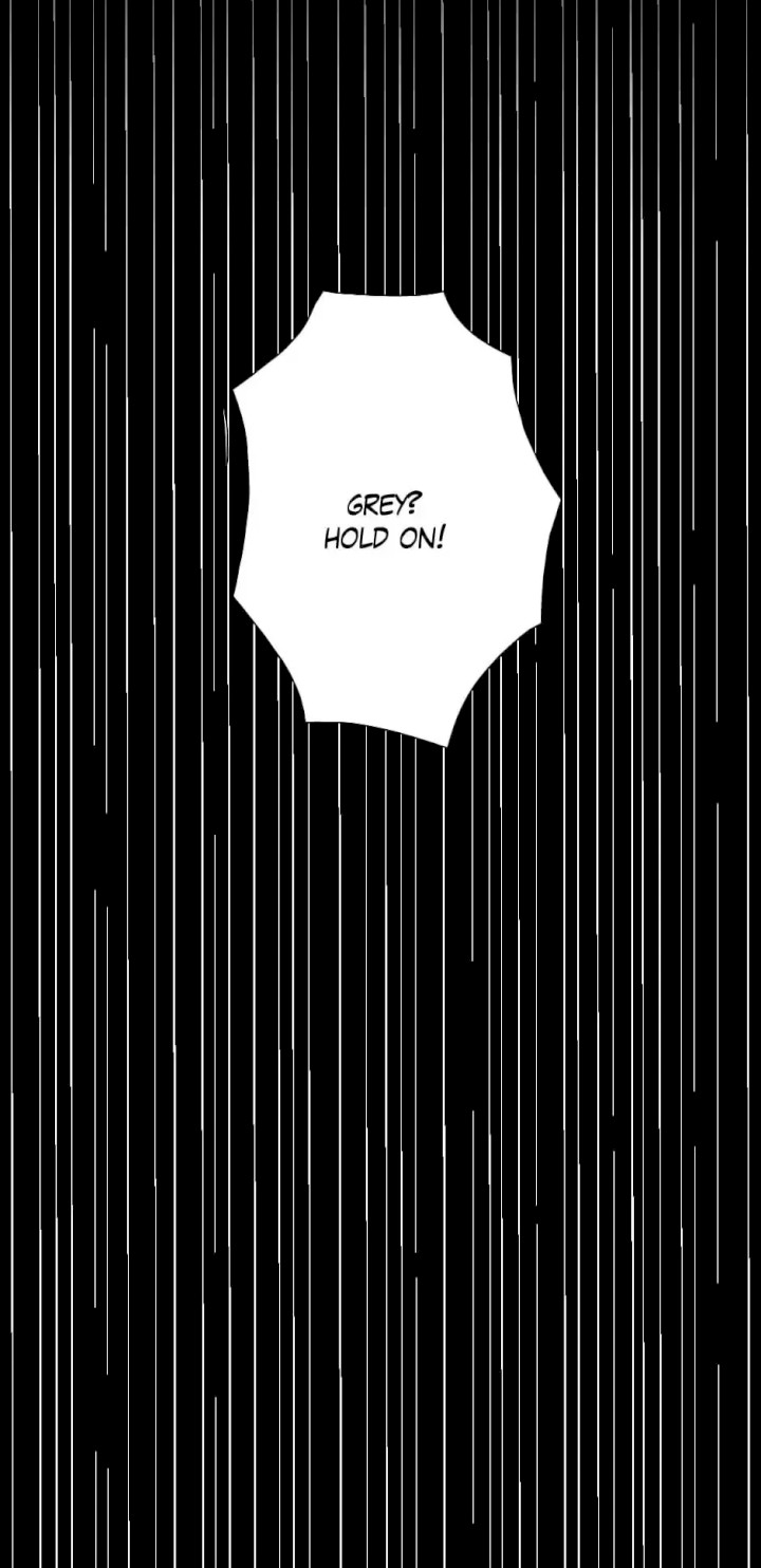 The Beginning After the End chapter 11 page 19