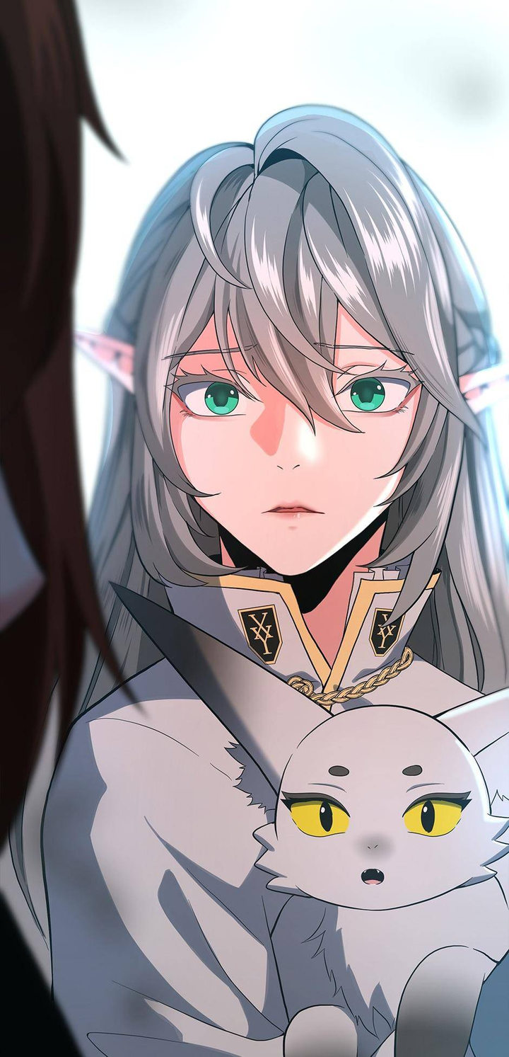 The Beginning After the End chapter 110 page 3