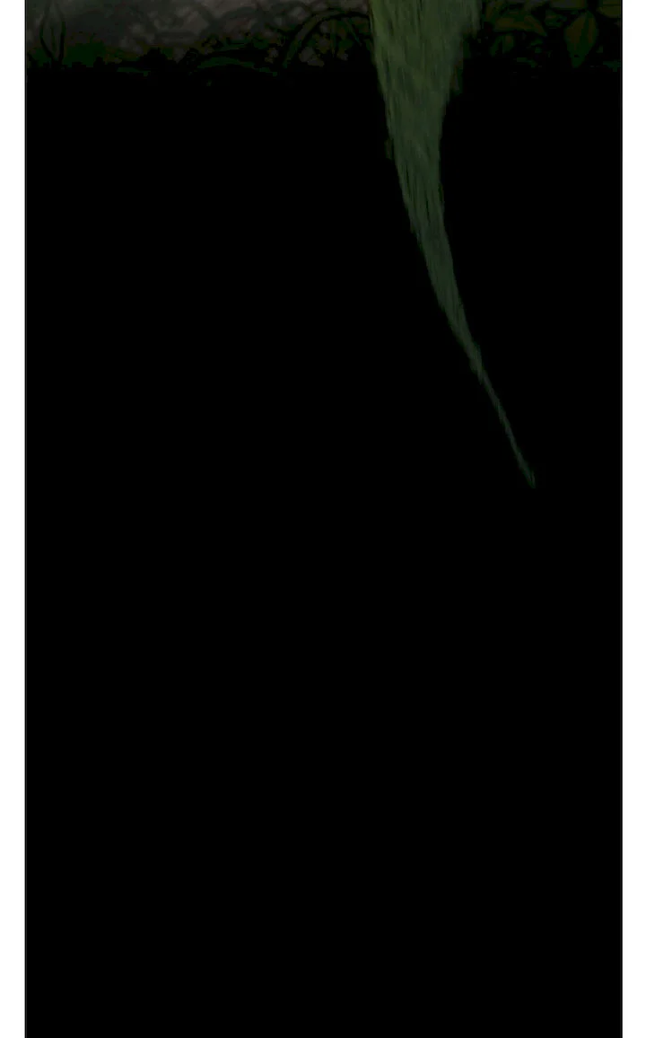 The Beginning After the End chapter 66 page 62