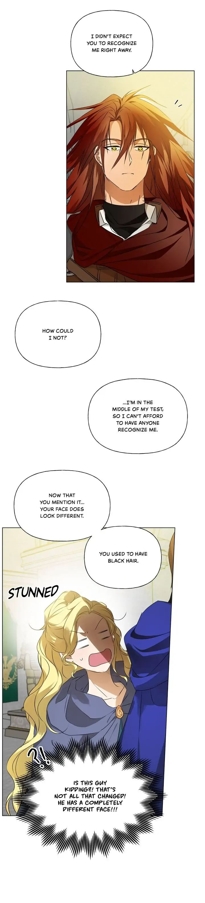 The Golden Haired Elementalist chapter 108 page 33