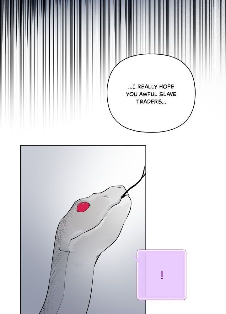 The Golden Haired Elementalist chapter 33 page 47