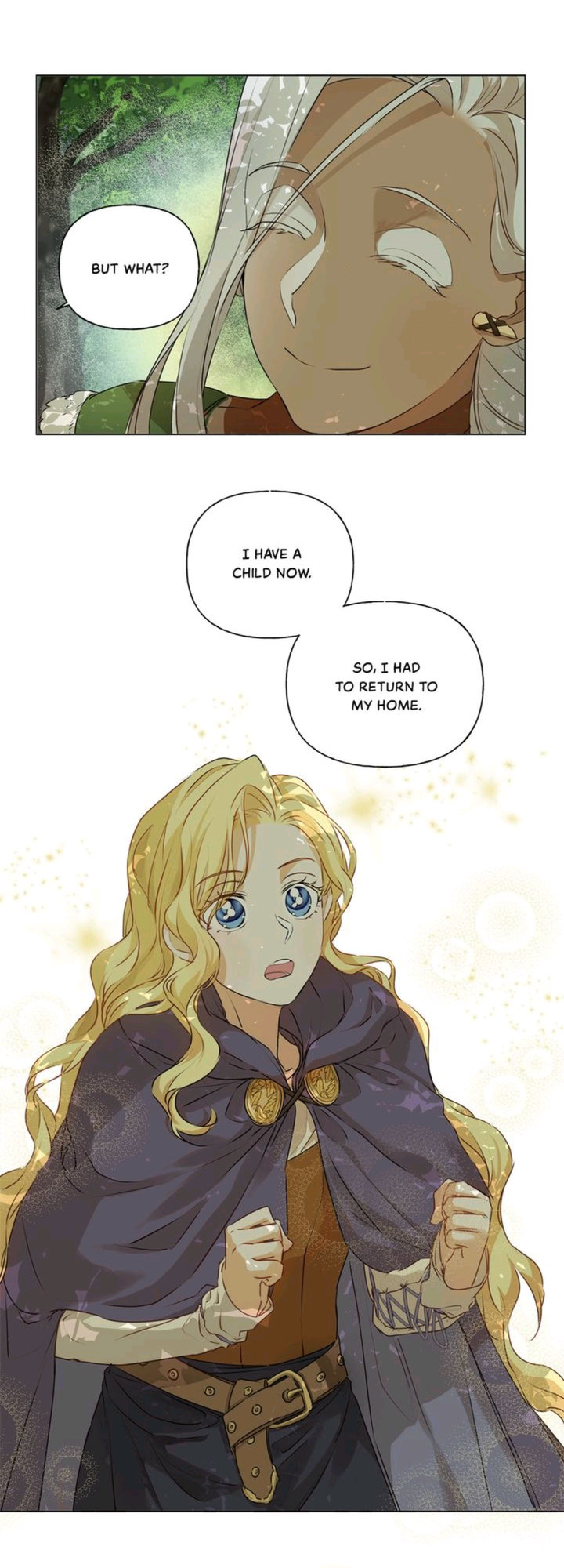 The Golden Haired Elementalist chapter 53 page 39
