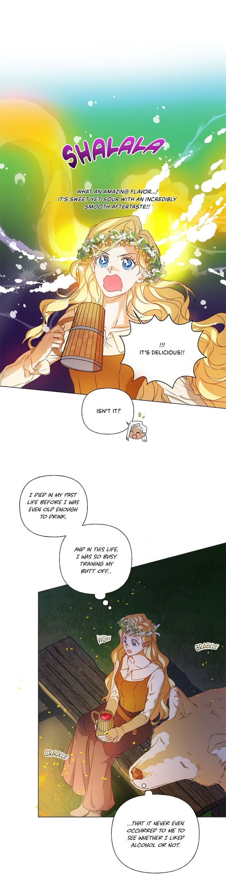 The Golden Haired Elementalist chapter 55 page 21