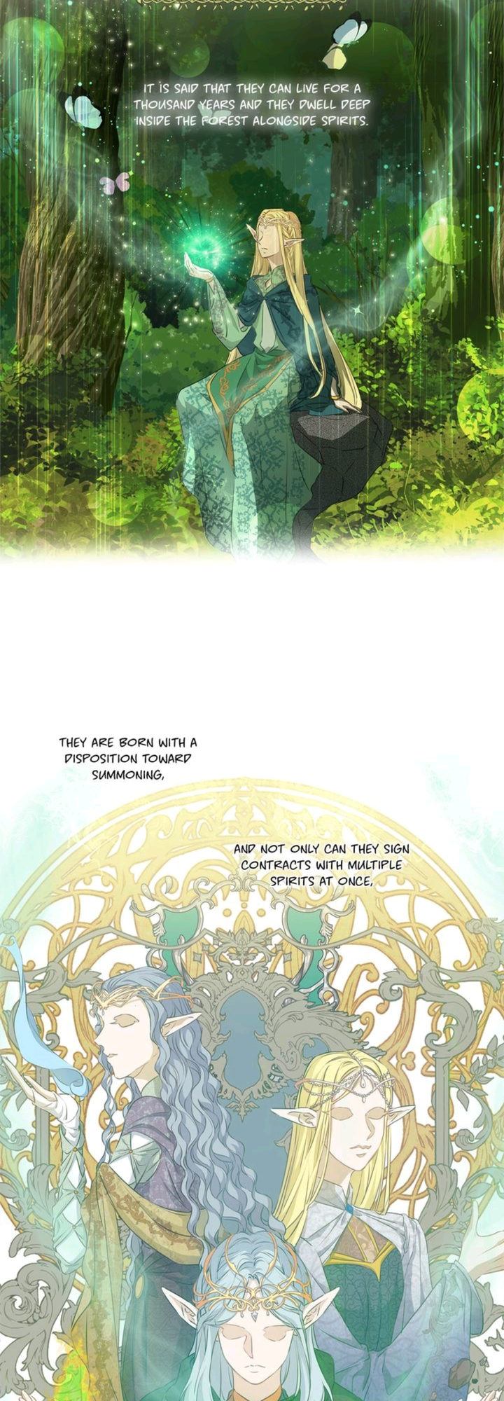 The Golden Haired Elementalist chapter 57 page 39