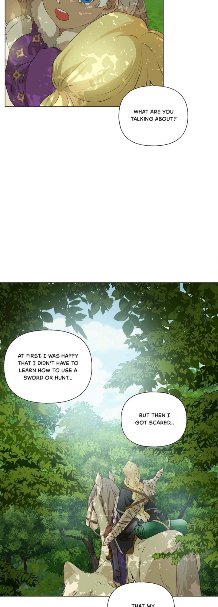 The Golden Haired Elementalist chapter 60 page 42