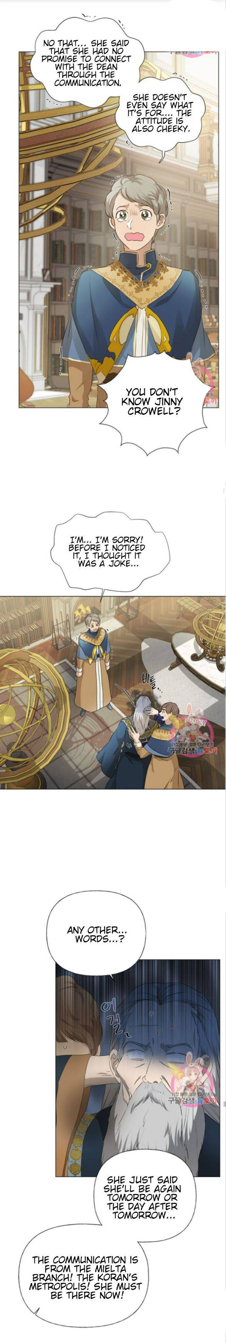 The Golden Haired Elementalist chapter 63 page 23