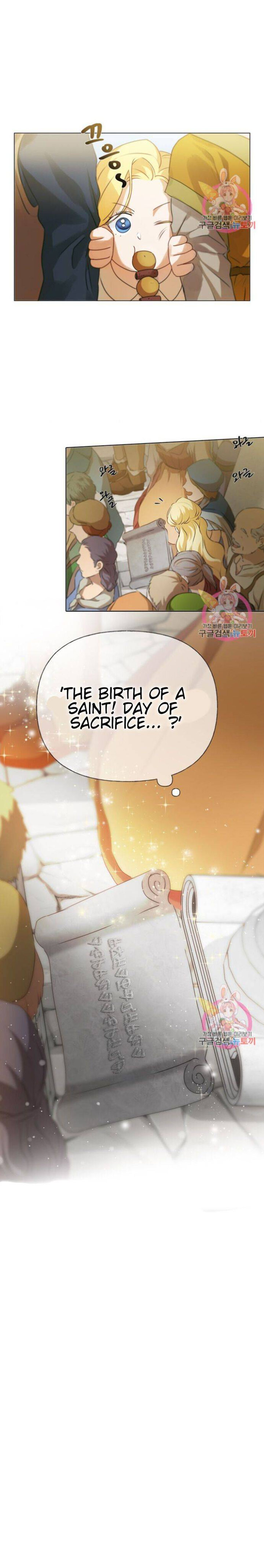 The Golden Haired Elementalist chapter 63 page 29