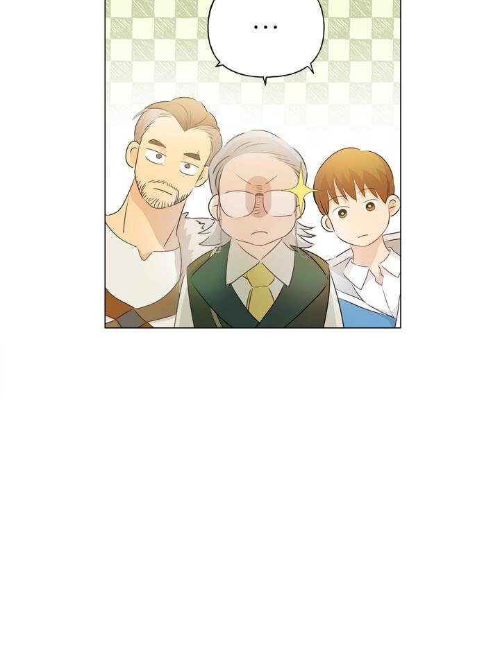 The Golden Haired Elementalist chapter 65 page 41