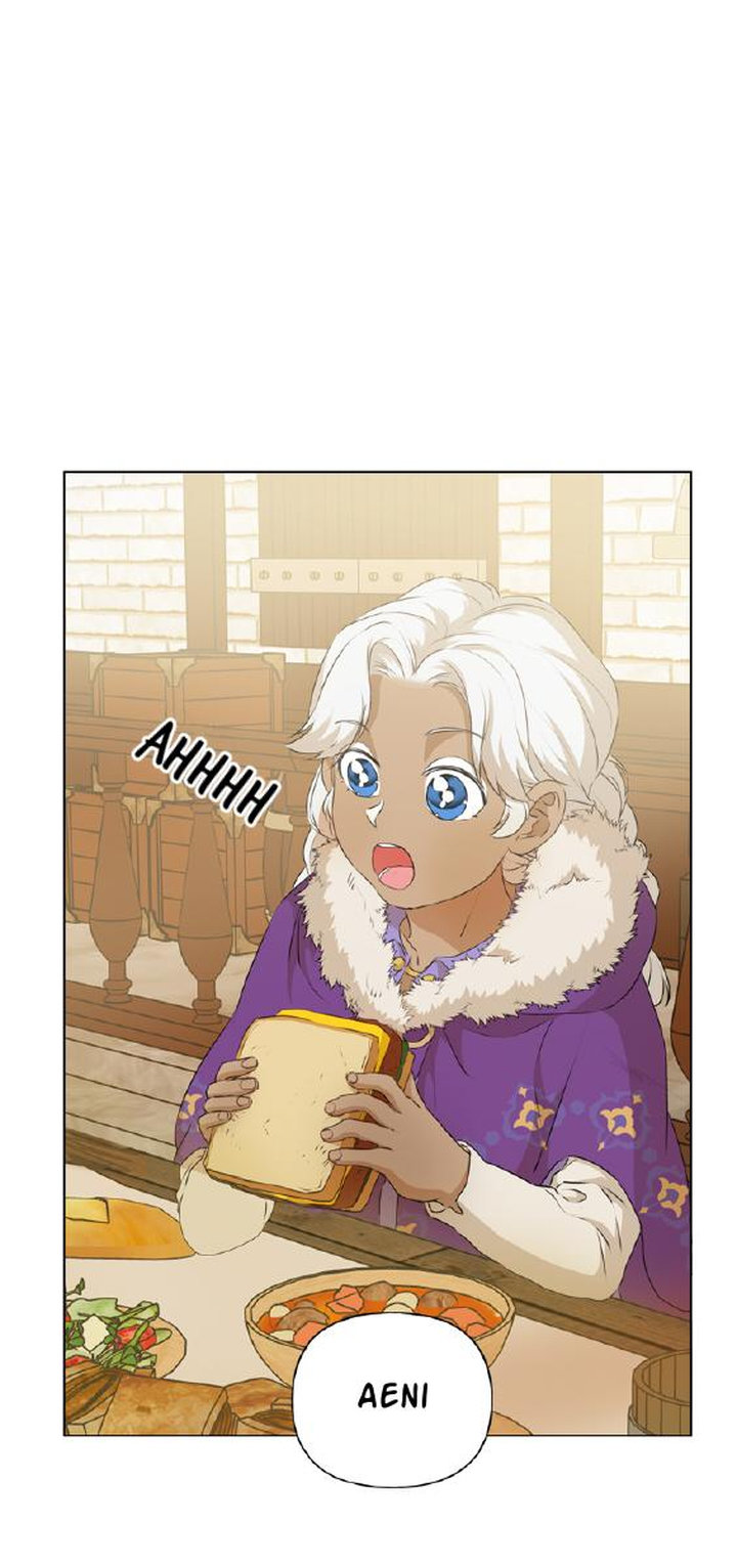 The Golden Haired Elementalist chapter 66 page 47
