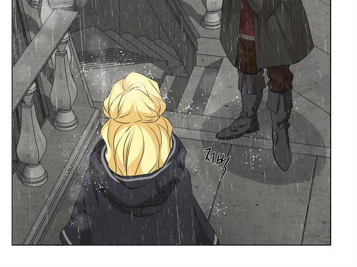 The Golden Haired Elementalist chapter 68 page 39