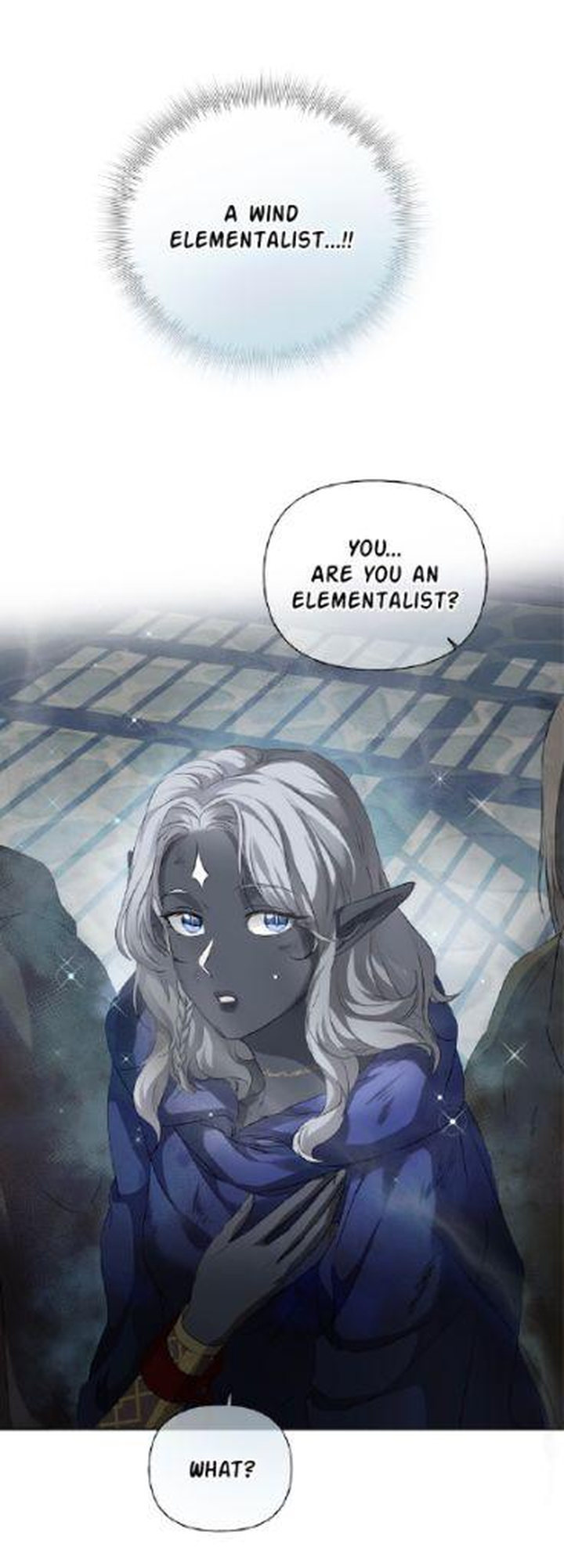 The Golden Haired Elementalist chapter 68 page 77