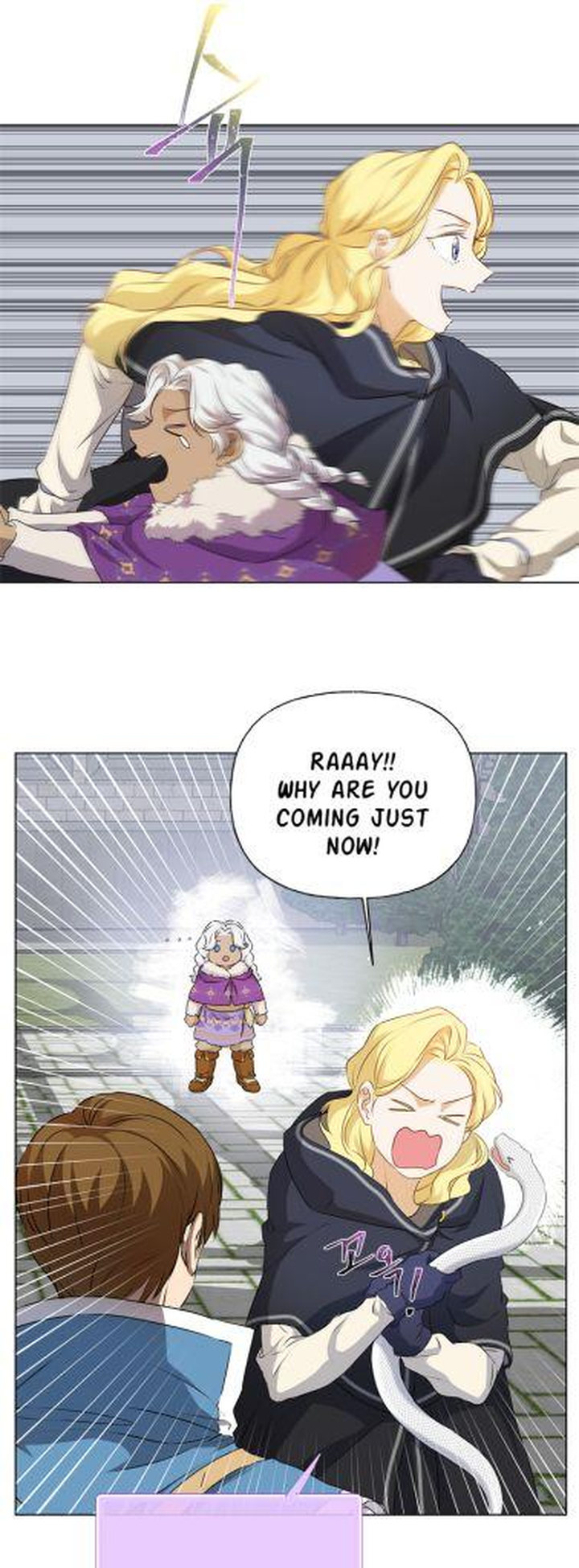 The Golden Haired Elementalist chapter 70 page 28