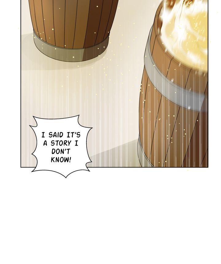 The Golden Haired Elementalist chapter 71 page 57