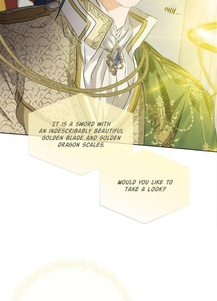 The Golden Haired Elementalist chapter 72 page 58