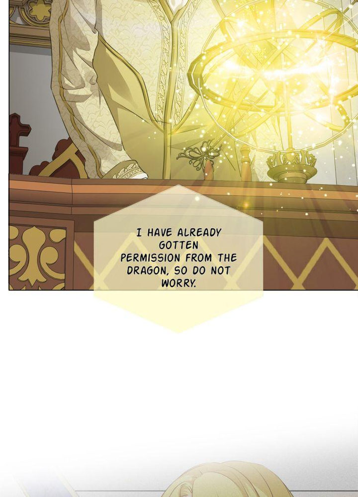 The Golden Haired Elementalist chapter 72 page 63
