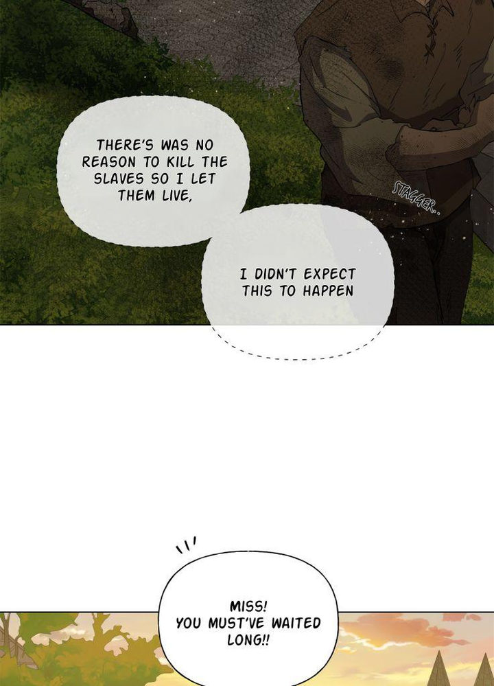 The Golden Haired Elementalist chapter 72 page 73