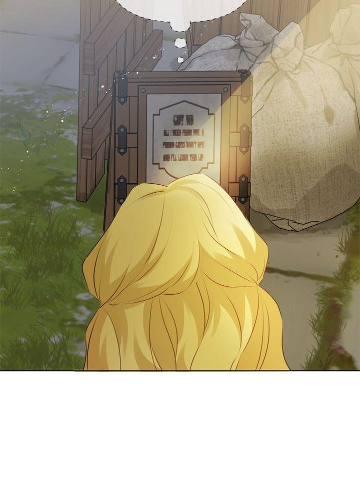 The Golden Haired Elementalist chapter 72 page 95