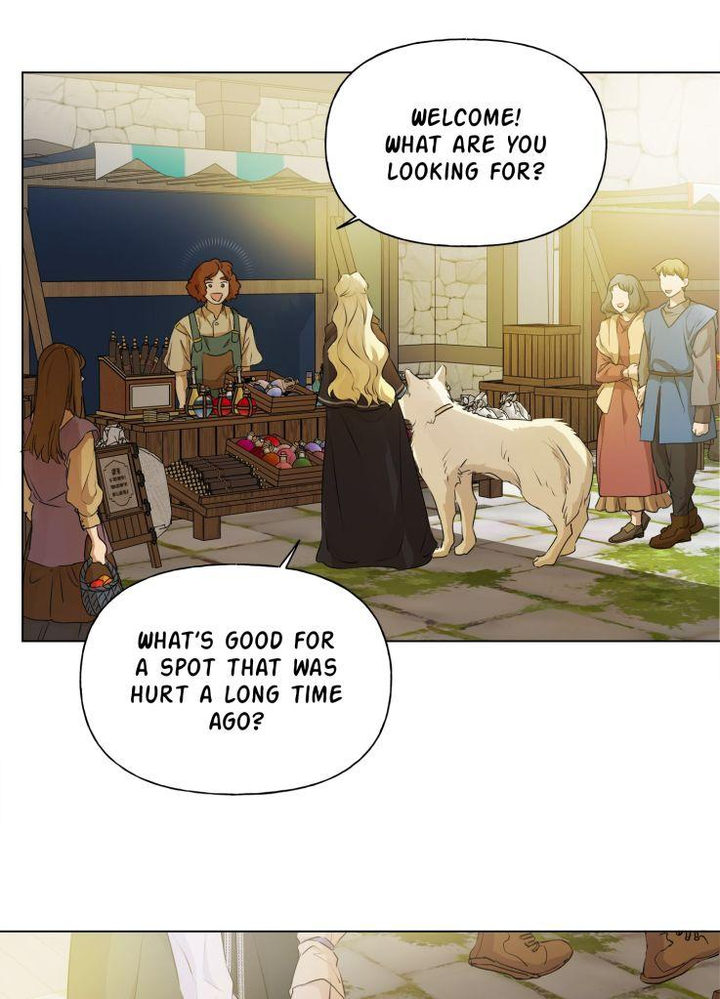 The Golden Haired Elementalist chapter 72 page 96
