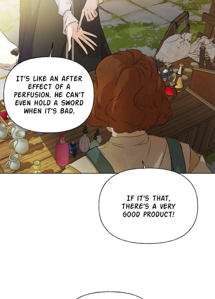 The Golden Haired Elementalist chapter 72 page 97