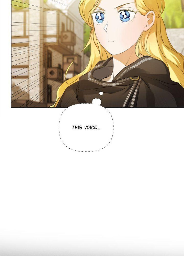 The Golden Haired Elementalist chapter 72 page 111