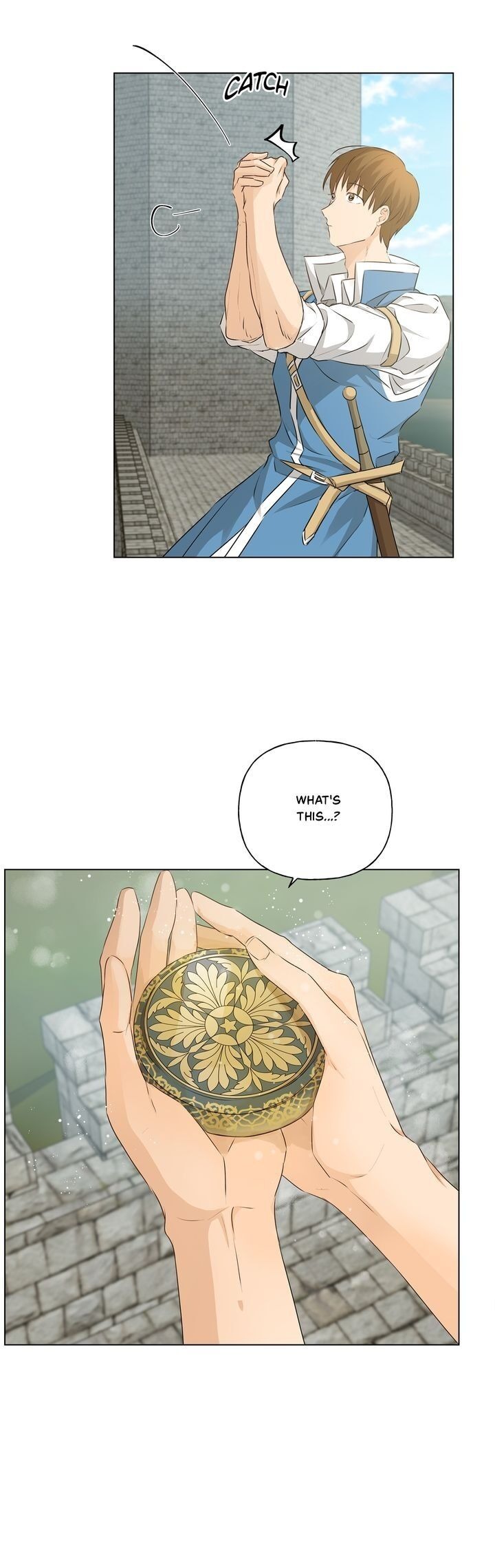 The Golden Haired Elementalist chapter 80 page 28