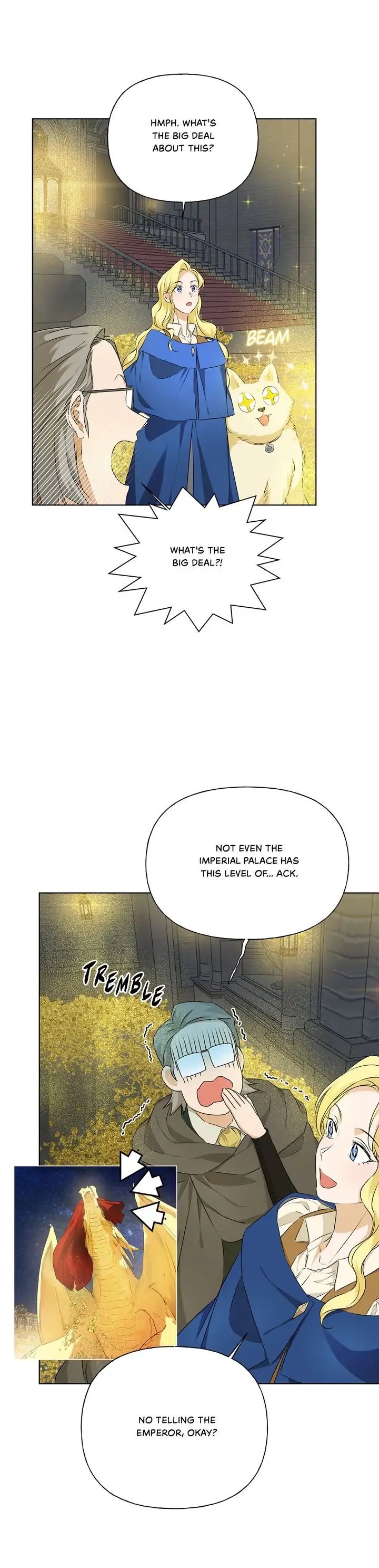 The Golden Haired Elementalist chapter 95 page 24