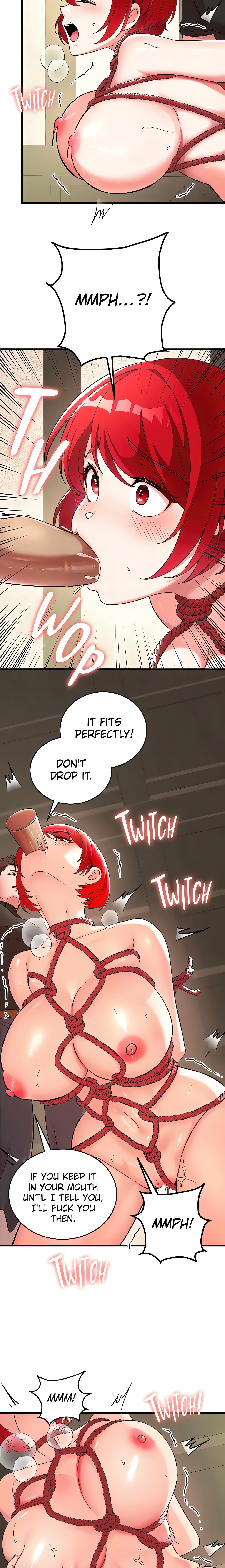 The Hero Violating the Girls (Official) chapter 29 page 17