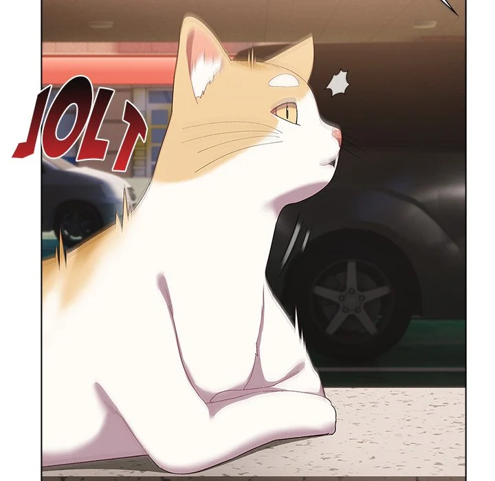 The Love Meowtchmaker chapter 1 page 144