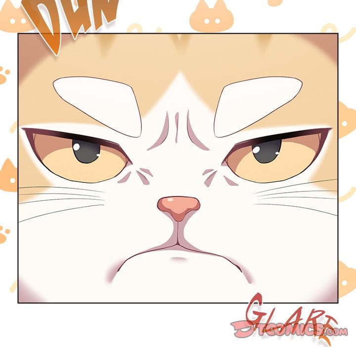 The Love Meowtchmaker chapter 33 page 84