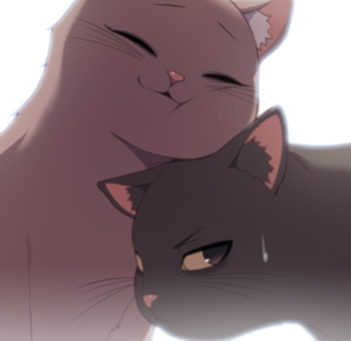 The Love Meowtchmaker chapter 46 page 43