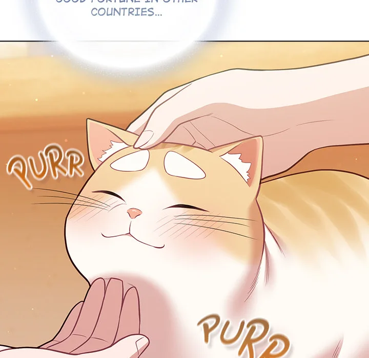 The Love Meowtchmaker chapter 53 page 175