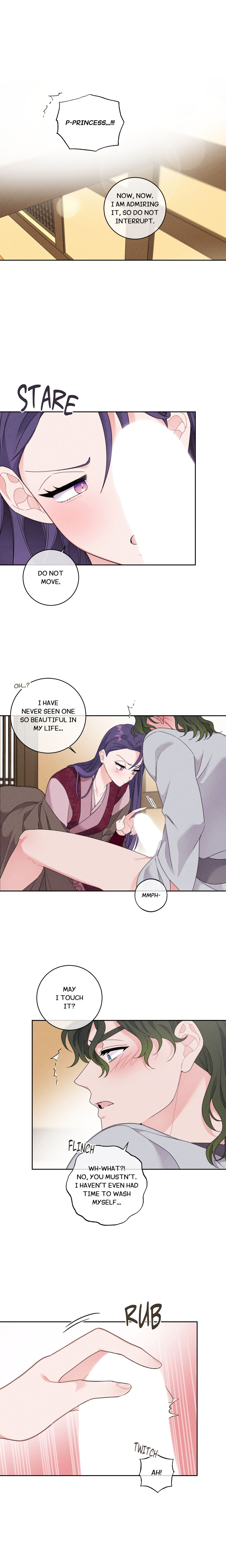 The Princess and the Fool chapter 2 page 1