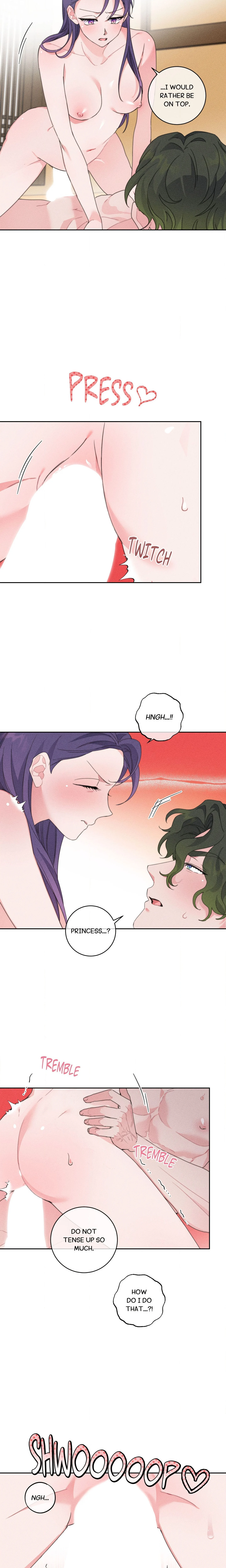 The Princess and the Fool chapter 2 page 12