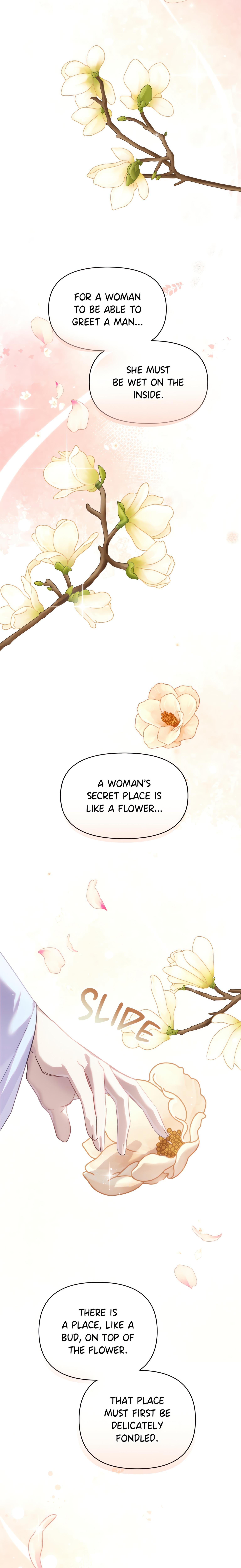 The Queen's Secret Lessons chapter 3 page 21